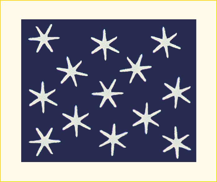 George Washington Flag
