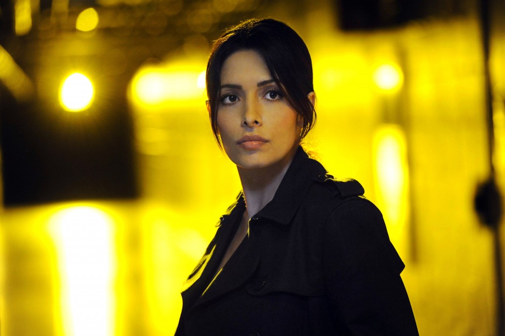 Comic Con SIP: Person of Interest, Season 4, Episode 22, series, drama, Sarah Sahai