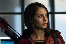 Willa Holland in Arrow