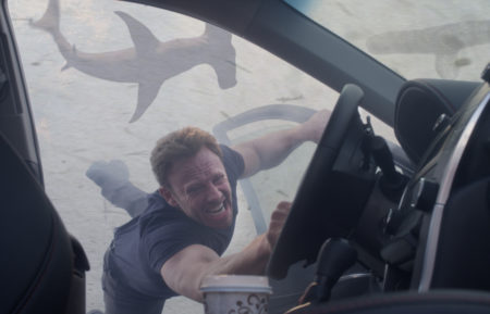 Ian Ziering as Fin Shepard in Sharknado 3: Oh Hell No!