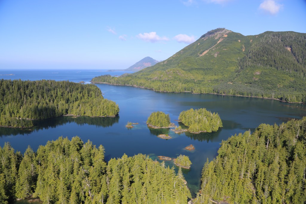 Alone History Channel Reality Series Where To Watch