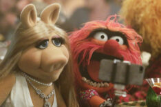 The Muppets - Miss Piggy, Animal