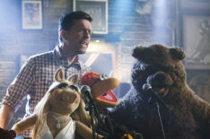Ed Helms, Miss Piggy, Scooter, Bobo the Bear, the Muppets