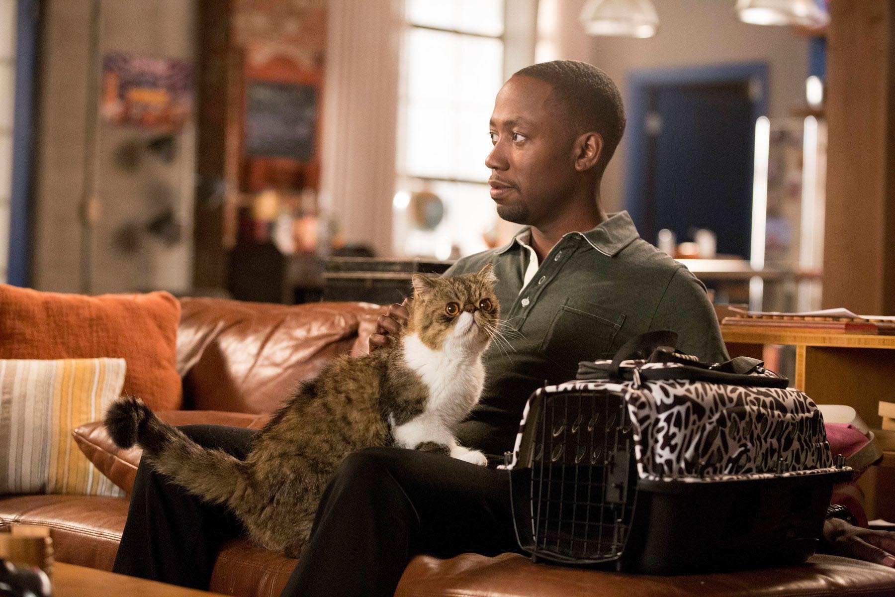 Ferguson the Cat and Lamorne Morris in New Girl