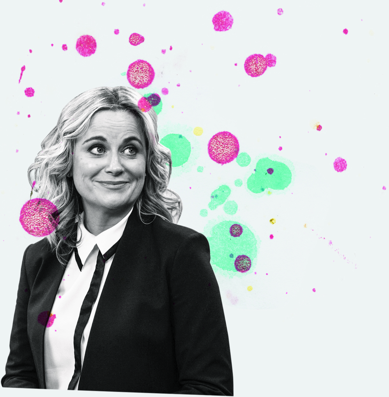 amy poehler - tvgm