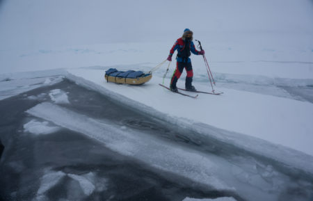 Melting: Last Race To The Pole