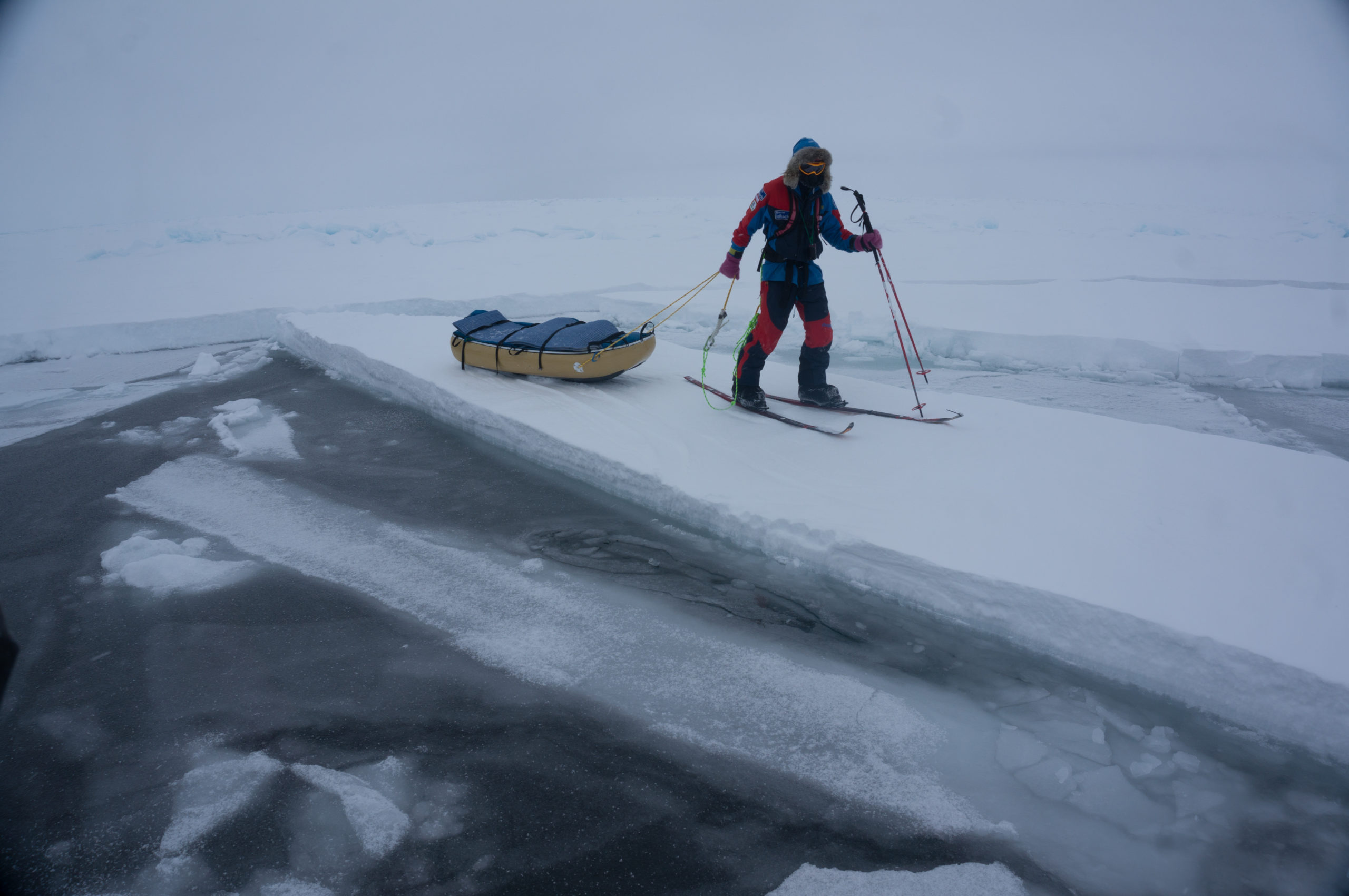 Melting: Last Race To The Pole