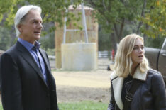 NCIS - Mark Harmon, Emily Wickersham