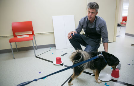 GOING DEEP WITH DAVID REES , David Rees