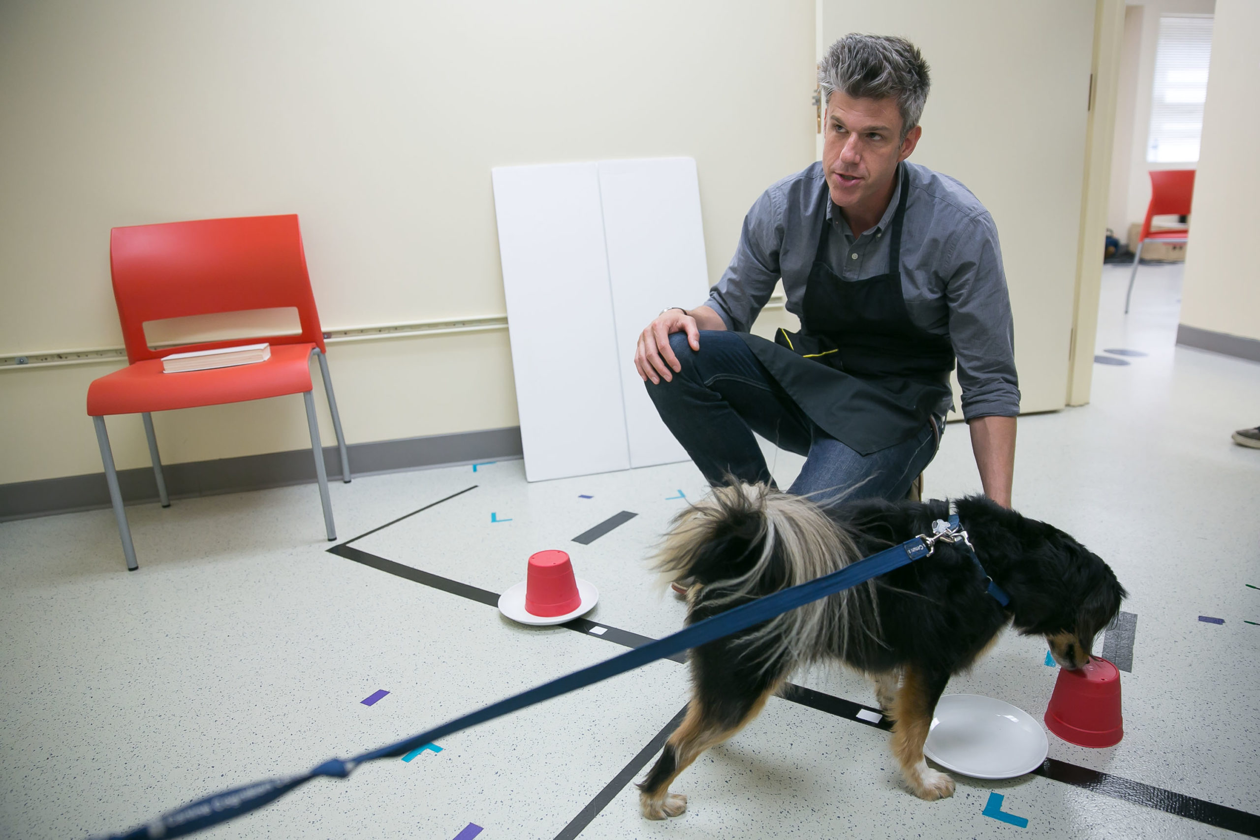 GOING DEEP WITH DAVID REES , David Rees