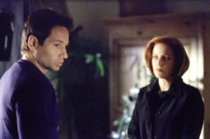 X-Files - David Duchovny and Gillian Anderson