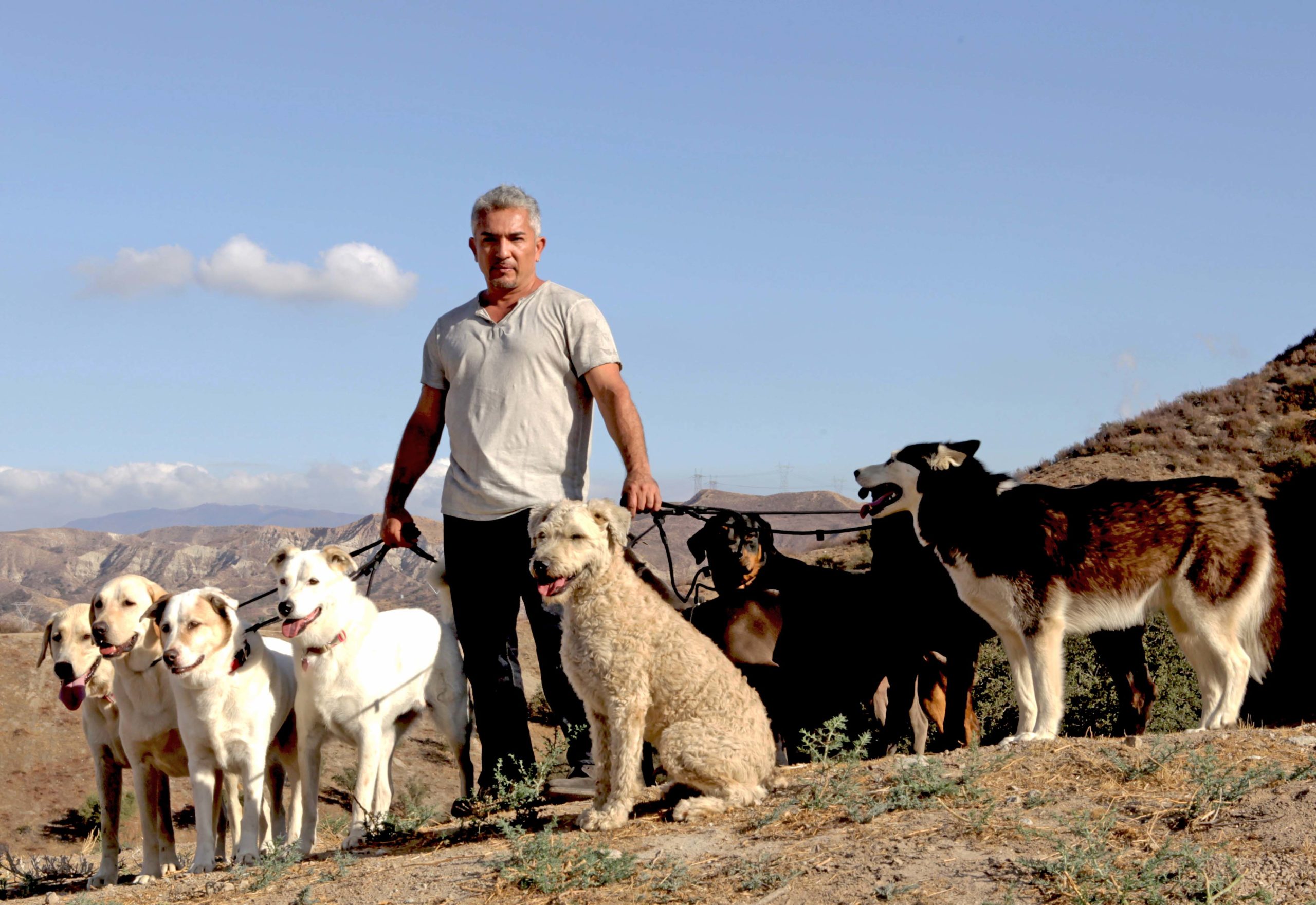 NatGeo - Cesar Millan: The Real Story