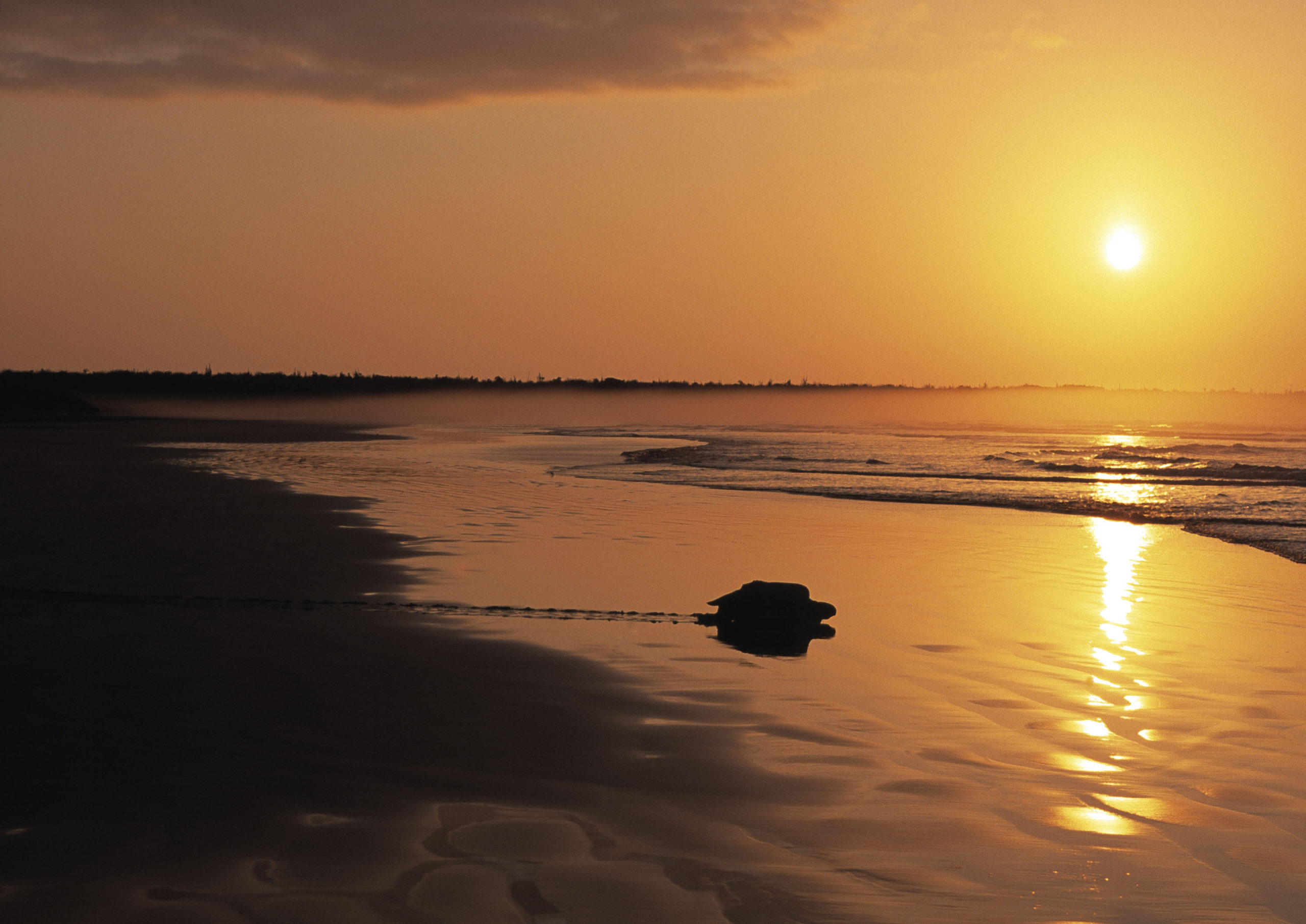 NatGeo - Dusk scenics on the coastline of southern Isabela, Galapagos