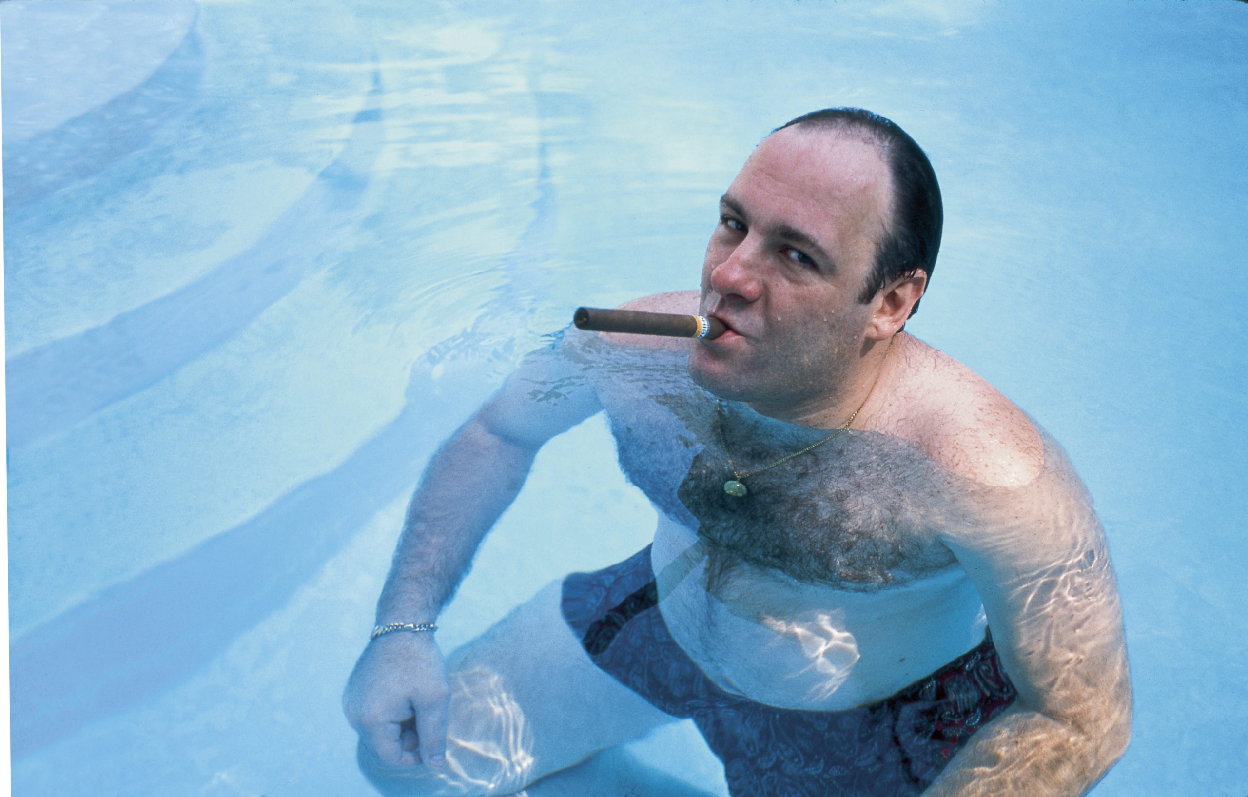 The Sopranos - James Gandolfini