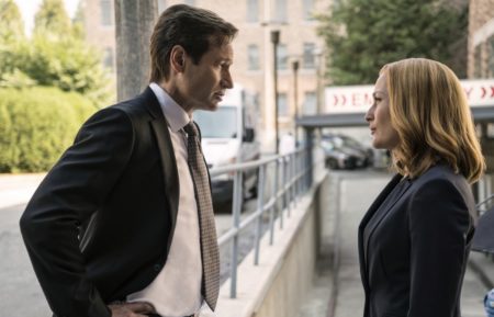 The X-Files - David Duchovny and Gillian Anderson