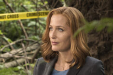 The X-Files - Gillian Anderson