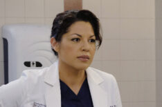 Grey's Anatomy - Sara Ramirez as Dr. Callie Torres