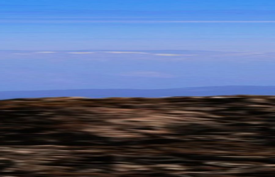 Curse of the Frozen Gold Animal Reality Series Where To Watch