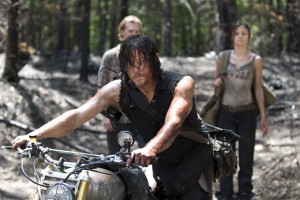 The Walking Dead - Norman Reedus