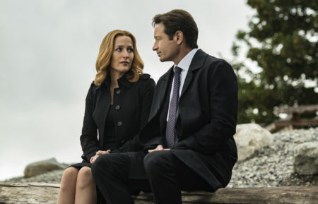 Gillian Anderson and David Duchovny in the 'Home Again' episode of The X-Files