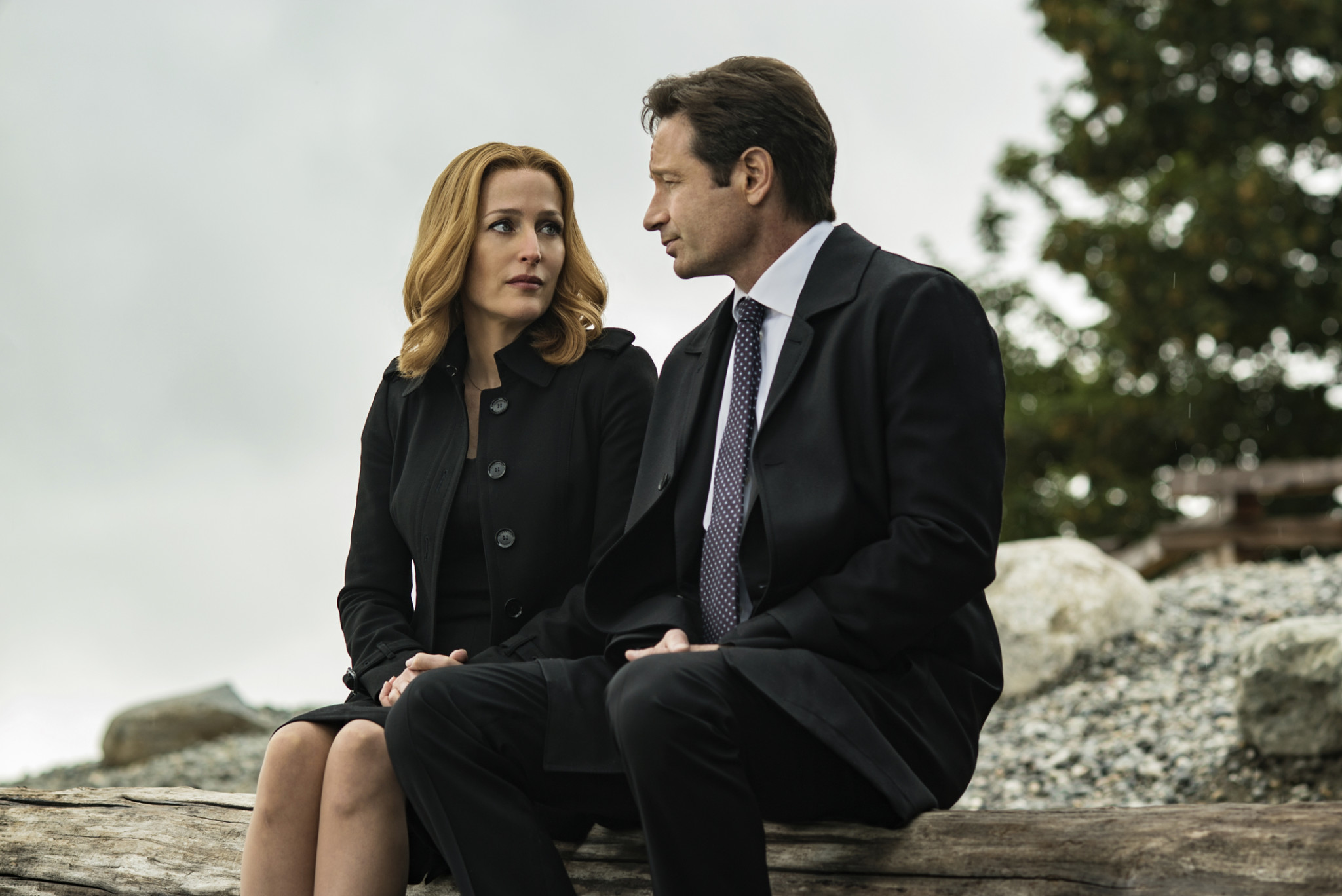 Gillian Anderson and David Duchovny in the 'Home Again' episode of The X-Files