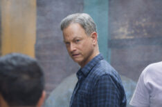 Gary Sinise in Criminal Minds