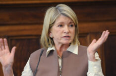 Martha Stewart testifies in Manhattan Supreme Court in 2013