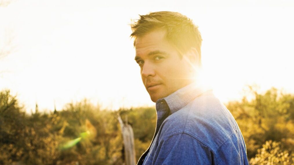 Michael Weatherly