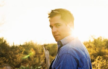 Michael Weatherly