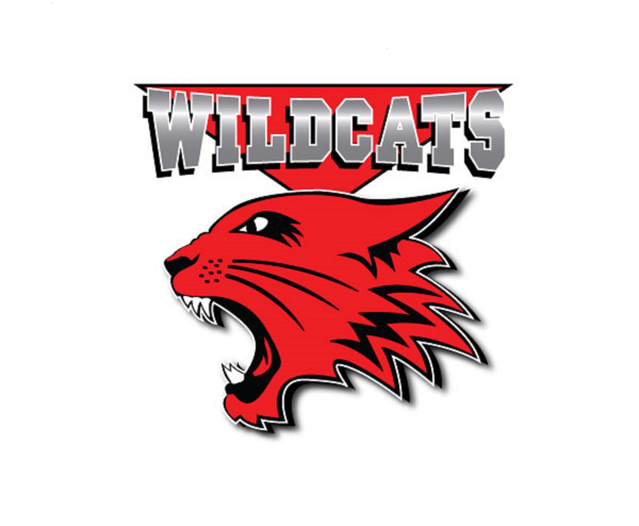 Wildcats Logo