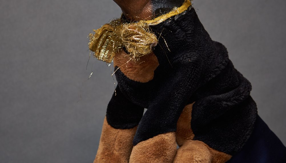 Triumph the Insult Comic Dog