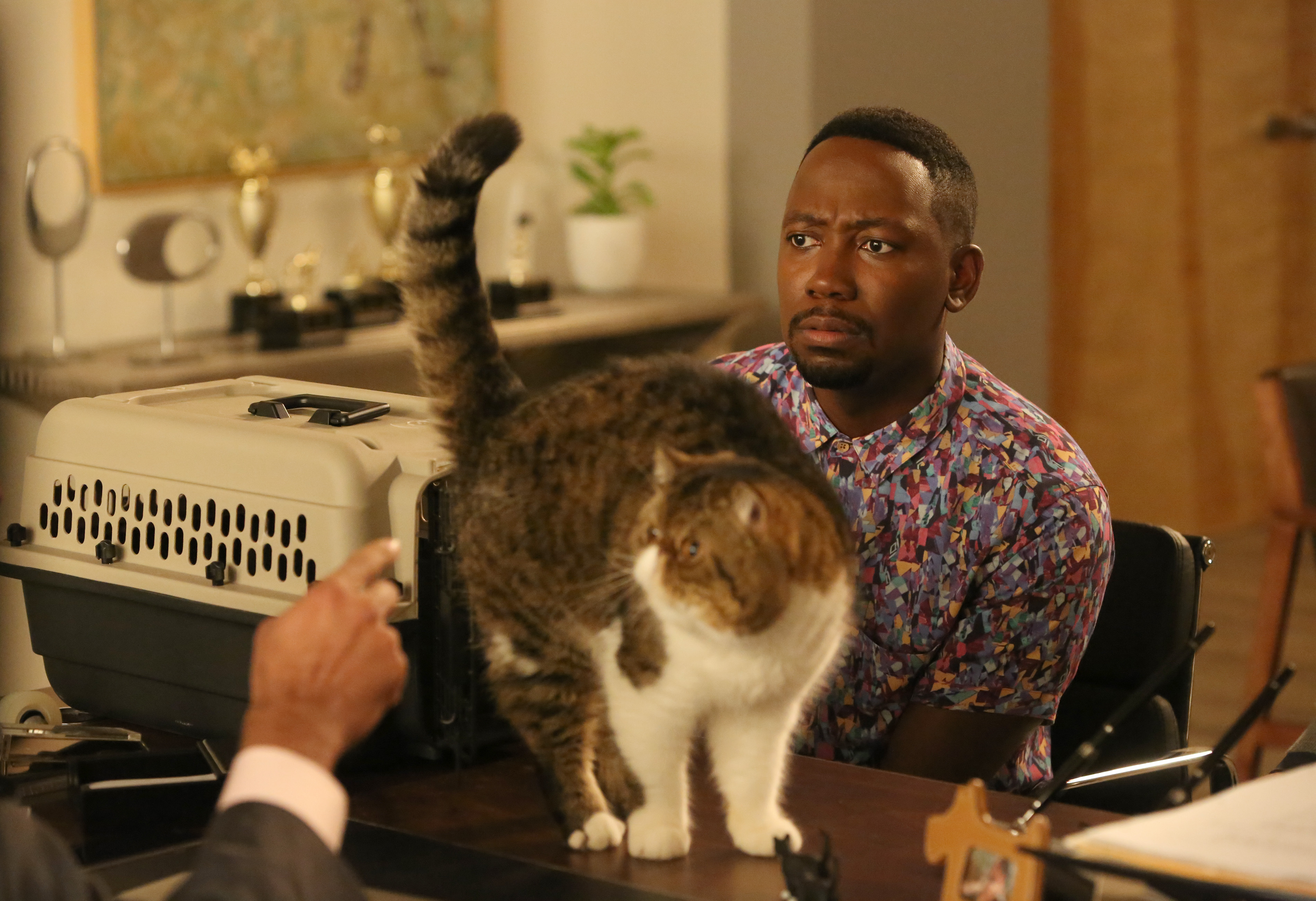 Let's be honest: The cat gets better stories.