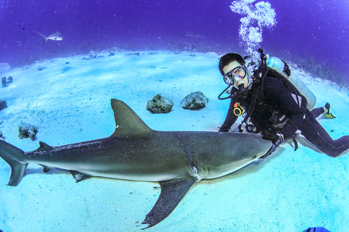 Shark After Dark Host Eli Roth: 'They’re More Afraid of Us Than We Are of Them'