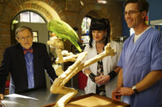 David McCallum, Pauley Perrette, Brian Dietzen. on NCIS