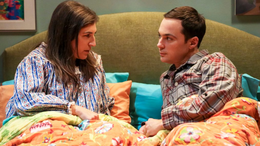 <i>The Big Bang Theory</i>: The Cohabitation Experimentation