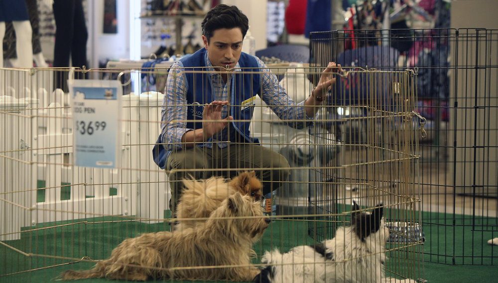 Ben Feldman as Jonah in Superstore - Season 2 - 'Dog Adoption Day'