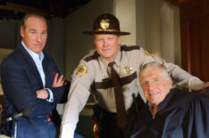 Craig T. Nelson, Bill Fagerbakke, and Jerry Van Dyke in The District - 'The Black Widow Maker'