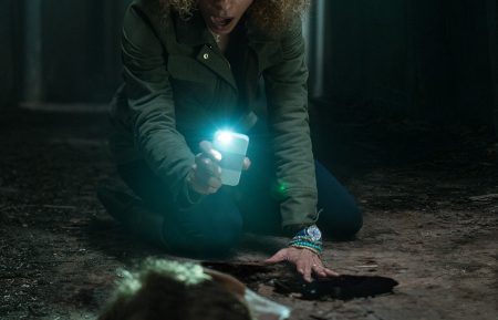 Michelle Hurd in Ash vs Evil Dead - Season 2, 2016