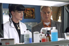 Pauley Perrette and Mark Harmon in NCIS