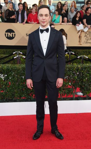 23rd Annual Screen Actors Guild Awards - Arrivals