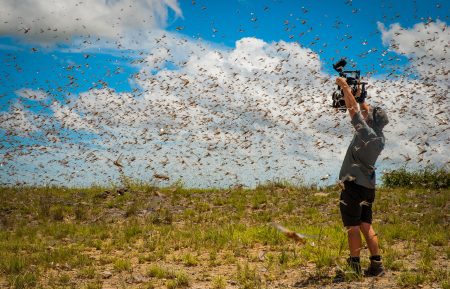 PLANET EARTH II_ Deserts_*EMBARGOED UNTIL 00.01 OCTOBER  6 2016*