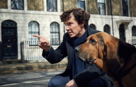 Sherlock-Season-4-Sherlock-with-dog