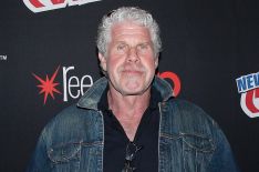 Ron Perlman Joins Crackle's 'StartUp'