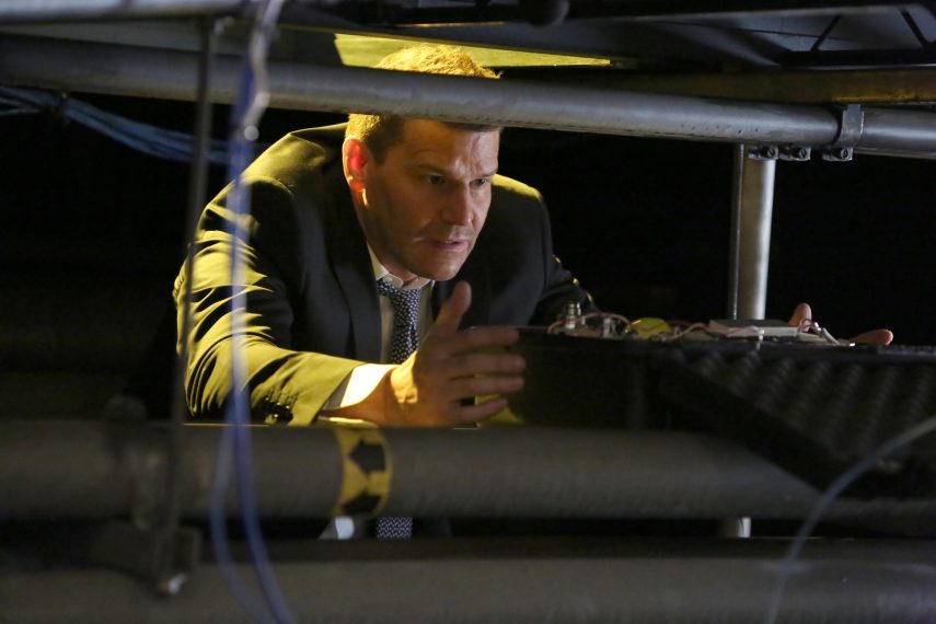 Bones - David Boreanaz