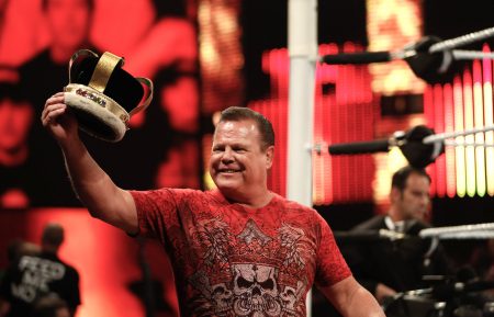 Jerry Lawler at WWE SummerSlam