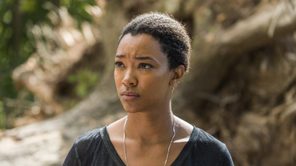 The Walking Dead - Sonequa Martin-Green as Sasha Williams