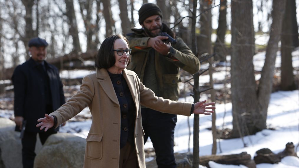 Susan Blommaert as Mr. Kaplan on The Blacklist