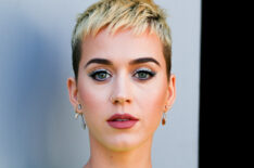 Katy Perry Joins 'American Idol' Reboot at ABC