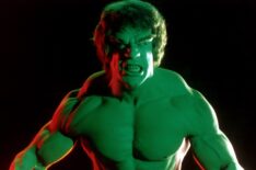 Lou Ferrigno as the Incredible Hulk