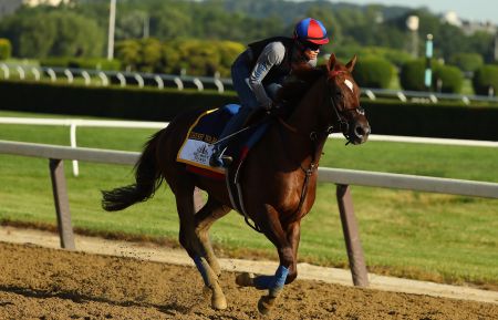 Belmont Stakes Irish War Cry